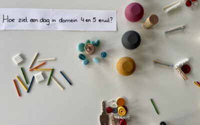 Hoe ziet een dag er eigenlijk uit in domein 4 en 5?